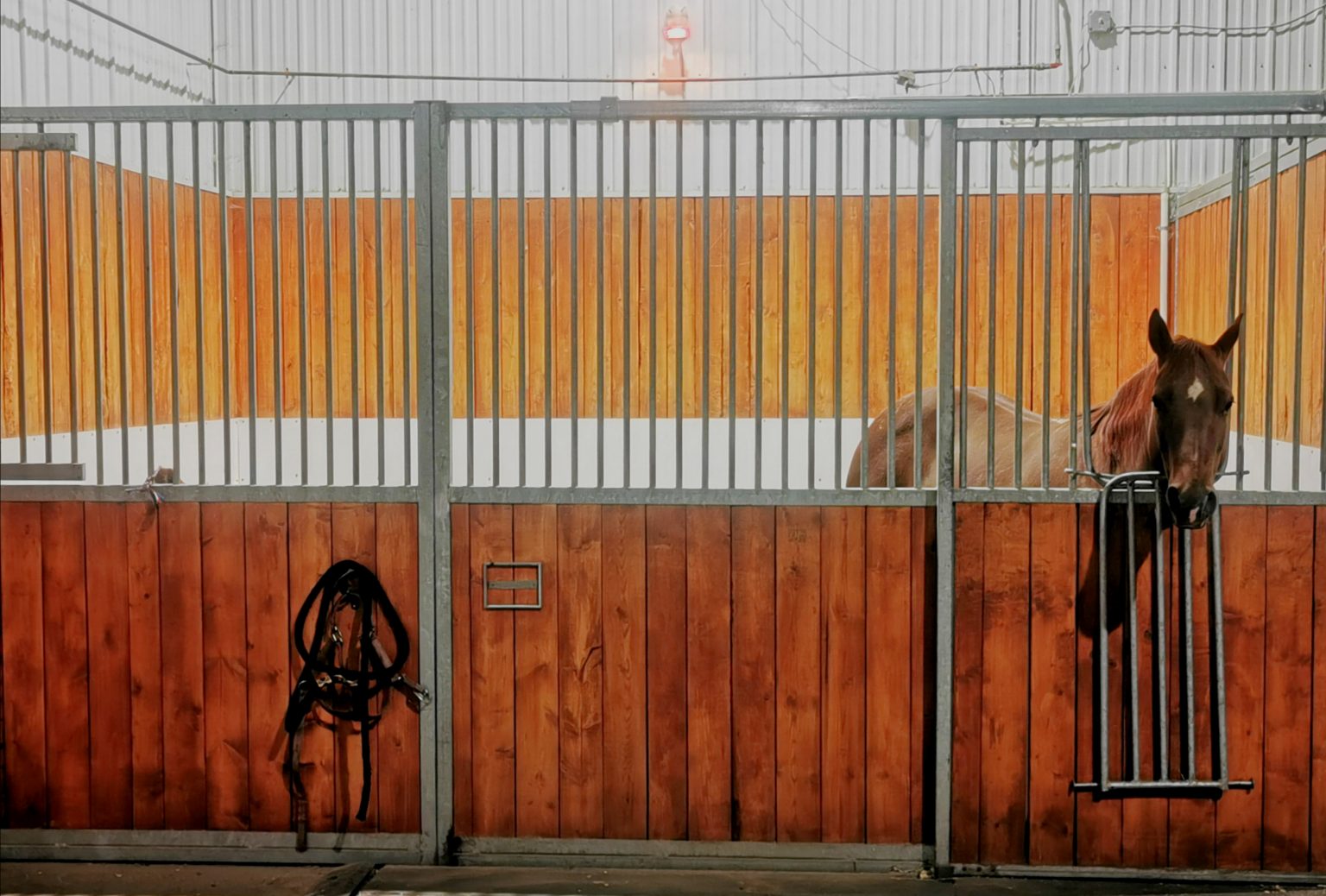 Bar None Ranches Land Rental, Custom Farming, Training, Equine Care