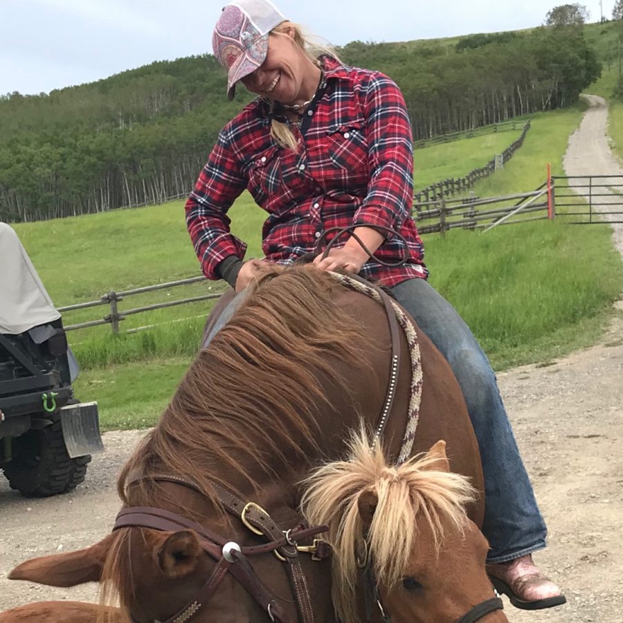 Hunter & Jumper Training Bar None Ranches 4039821215