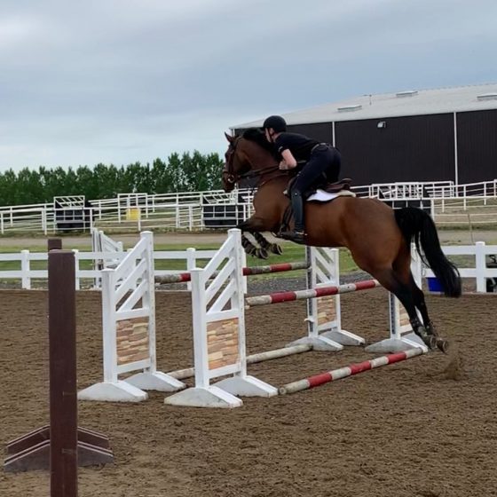 Hunter & Jumper Training Bar None Ranches 4039821215